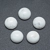 Natural Howlite Cabochons G-P393-R32-8MM-1
