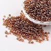 Round 8/0 Glass Seed Beads X-SEED-A006-3mm-102C-1