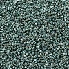 MIYUKI Delica Beads SEED-X0054-DB1847F-2
