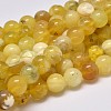 Natural Yellow Opal Round Bead Strands G-M296-02-10mm-2