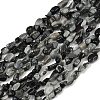 Natural Eagle Eye Stone Beads Strands G-Q060-D06-2