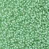 TOHO 11/0 Round Beads X-SEED-TR11-0975-2