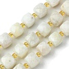 Natural Moonstone Beads Strands G-Q010-A05-01-2