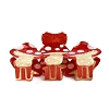Acrylic Claw Hair Clips for Women Girls LS-PHAR-G015-02-1