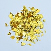 Plastic Candy Sequins/Paillette Chip DIY-I019-02I-2