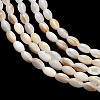 Natural Freshwater Shell Beads Strands SHEL-C010-03A-2