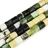 Natural Serpentine Beads Strands G-T141-90A-4
