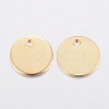 304 Stainless Steel Charms STAS-G179-92G-10mm-2