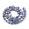 Natural Sodalite Beads Strands G-T106-214-3
