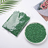6/0 Glass Seed Beads X1-SEED-A010-4mm-47-5