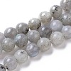 Natural Labradorite Beads Strands G-I261-D02-6mm-1
