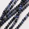 Natural Gemstone Sodalite Round Beads Strands X-G-A130-2mm-16-1