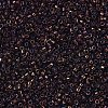 MIYUKI Delica Beads SEED-X0054-DB1002-3