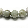 Natural Peace Jade Beads Strands G-Q462-50-8mm-2