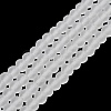 Transparent Glass Beads Strands EGLA-A034-T10mm-MD19-2
