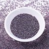 MIYUKI Delica Beads X-SEED-J020-DB1244-2