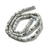 Natural Larimar Beads Strands G-Q024-B03-01-3