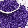 Baking Paint Glass Seed Beads SEED-A033-04O-1