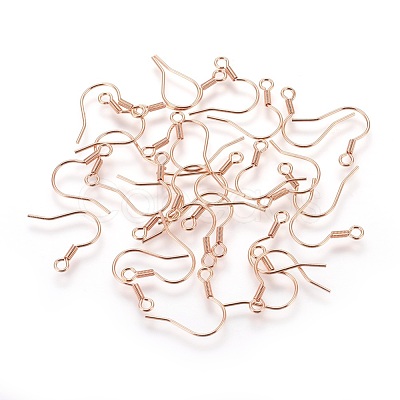 304 Stainless Steel Earrings Hooks STAS-P227-06RG-1