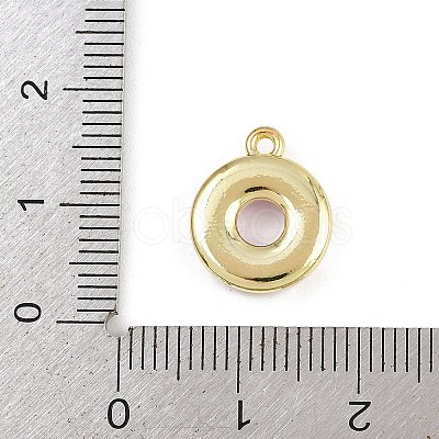 Alloy Enamel Charms ENAM-I067-02G-05-1