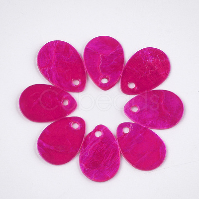 Spray Painted Capiz Shell Charms SSHEL-T006-10A-1