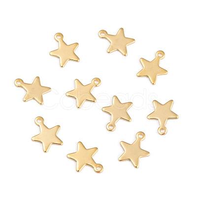 304 Stainless Steel Charms STAS-G190-27G-B-1