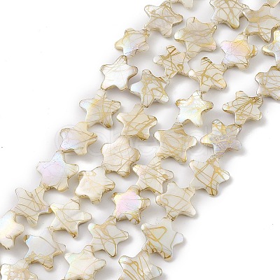 Drawbench Style Natural Freshwater Shell Beads Strands BSHE-E028-04-1