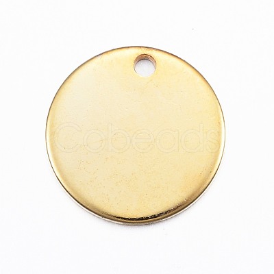 304 Stainless Steel Charms STAS-G137-09G-1