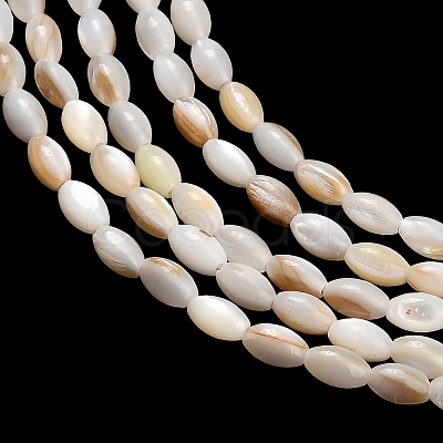 Natural Freshwater Shell Beads Strands SHEL-C010-03A-1