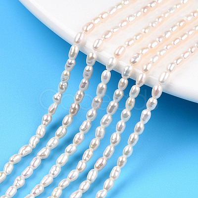 Natural Cultured Freshwater Pearl Beads Strands PEAR-N012-02K-1