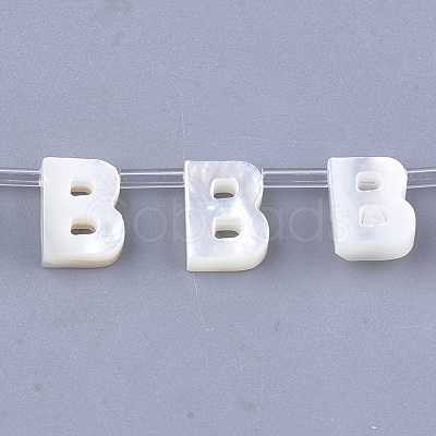 Sea Shell Beads X-SHEL-T012-60B-1