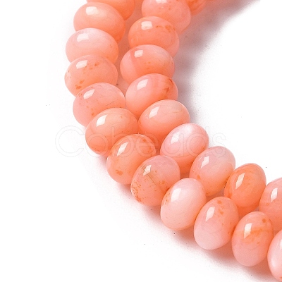 Natural Freshwater Shell Beads Strands SSHEL-C013-07A-1