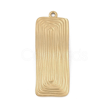 304 Stainless Steel Pendants STAS-D366-02C-G-1
