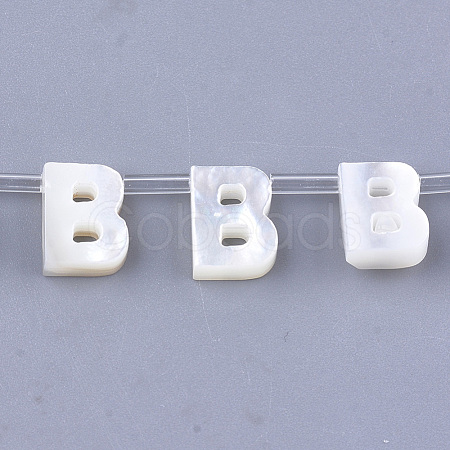 Sea Shell Beads X-SHEL-T012-60B-1