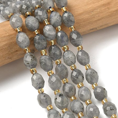 Natural Labradorite Beads Strands G-F809-A47-01-1