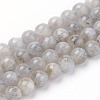 Natural Labradorite Beads Strands X-G-Q961-05-6mm-1