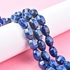 Natural Lapis Lazuli Beads Strands G-K311-09B-1