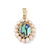 Natural Paua Shell Pendants PALLOY-JF06073-1