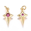 Brass Micro Pave Cubic Zirconia Charms ZIRC-G168-53G-03-2