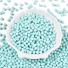 Opaque Baking Paint Glass Beads DGLA-T004-02O-1