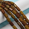 Natural Petrified Wood Beads Strands G-M420-E06-03-2