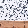 MIYUKI Delica Beads Small SEED-X0054-DBS0325-4