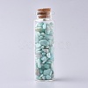 Glass Wishing Bottle DJEW-L013-A02-1
