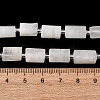 Natural Rainbow Moonstone Beads Strands G-L655-B04-01-4
