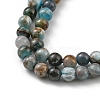 Round Natural Apatite Beads Strands G-K068-02-5mm-3