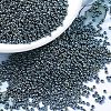 MIYUKI Round Rocailles Beads X-SEED-G007-RR0456-1