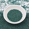 MIYUKI Delica Beads SEED-X0054-DB2381-2