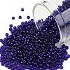 TOHO Round Seed Beads SEED-TR11-0743-1