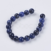 Natural Sodalite Beads Strands X-G-G515-10mm-07-2