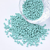 Glass Cylinder Beads SEED-Q036-01A-D11-1